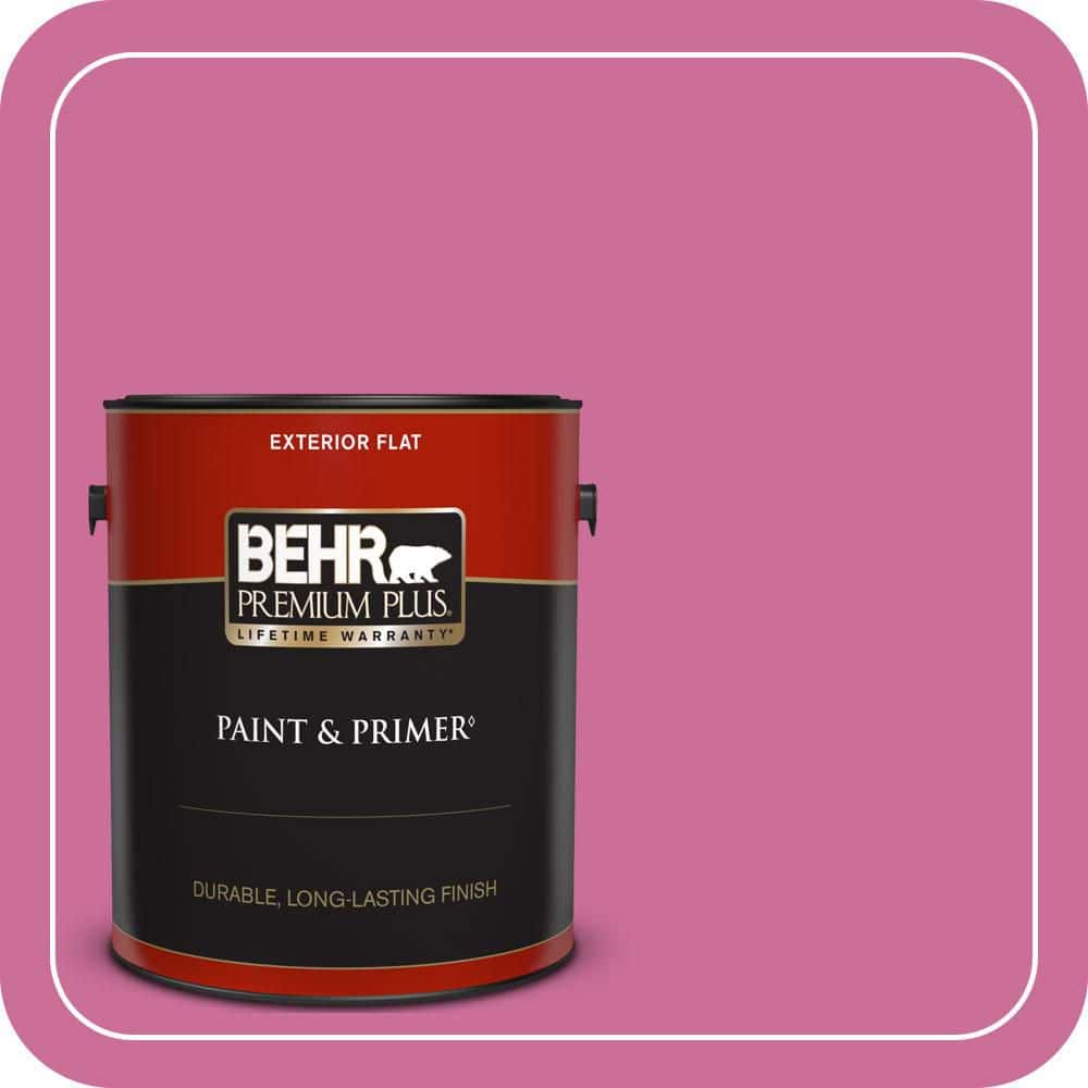 1 gal. #100B-6 Fuchsia Kiss Flat Exterior Paint & Primer price history on PriceWatchPro