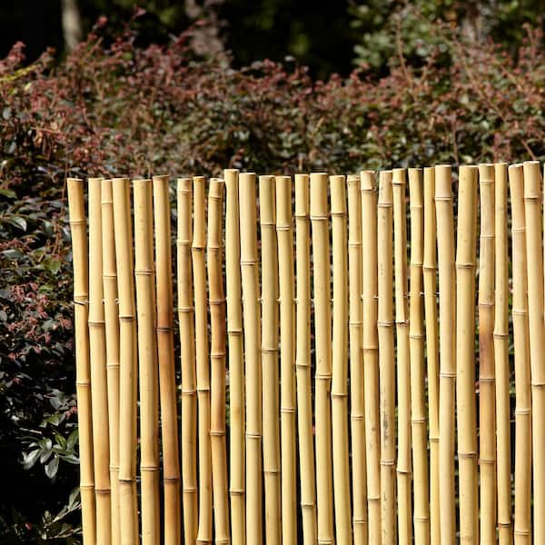 Vigoro 4 ft. H x 6 ft. W Natural Bamboo Fence 4477417 - The