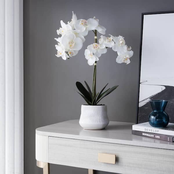 Cheerful Blooms 22 in. Artificial White Orchid Centerpiece