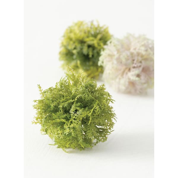 Lot of 5 Large Decorative Moss Balls for Centerpiece Bowls Natural Orbs  w/basket