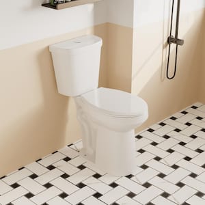 2-Piece High-Efficiency 1.1/1.6 GPF Dual Flush 12 in. Rough in Size Elongated Toilet in White, Seat Included