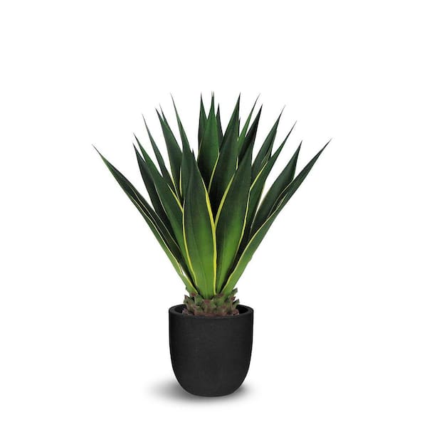 Unbranded Botanical 3.3 ft. Artificial Agave in Pot