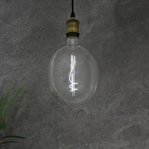 75-Watt Equivalent C53 Curve Filament Oversized Clear Glass E26 Vintage Edison LED Light Bulb Daylight 5000K (3-Pack)