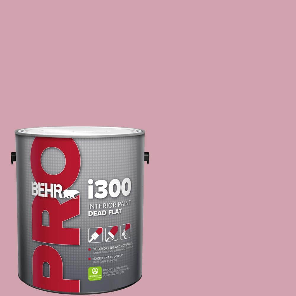 1 gal. #100C-3 Birthday Candle Dead Flat Interior Paint price history on PriceWatchPro