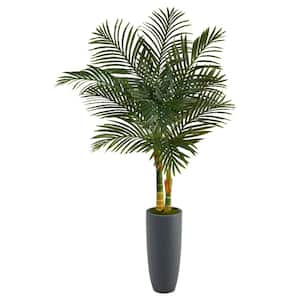 58in. Golden Cane Artificial Palm Tree in Gray Planter
