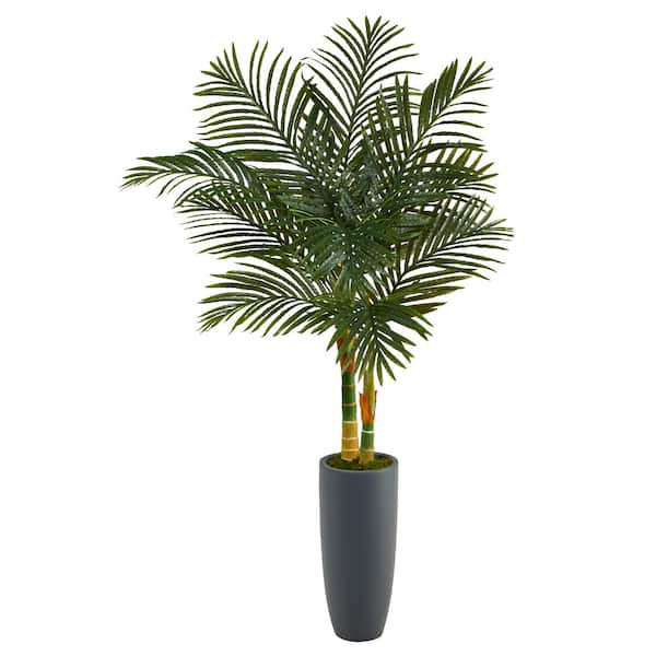 58in. Golden Cane Artificial Palm Tree in Gray Planter