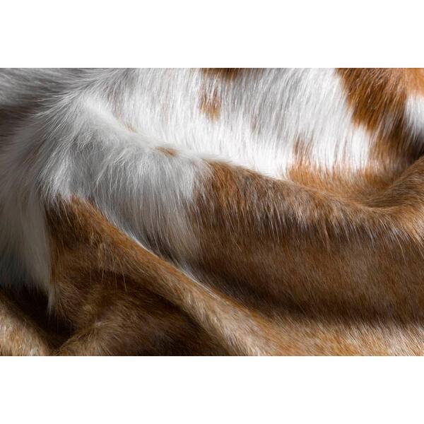 Natural Kobe Brown And White 6 Ft X 7 Ft Cowhide Rug 676685001214 The Home Depot