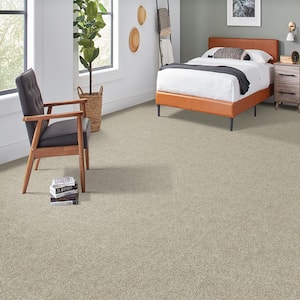 Denfort - Picnic-Brown 70 oz. Triexta PET Texture Installed Carpet