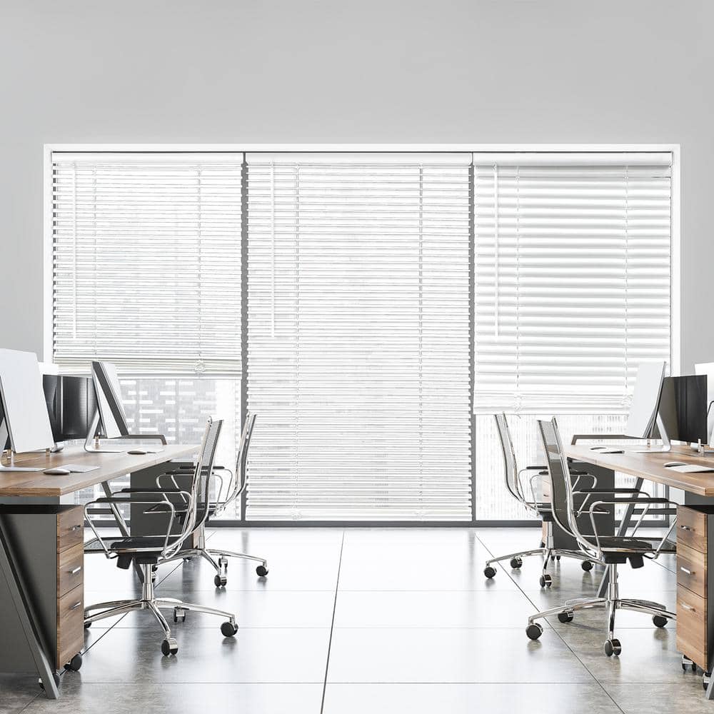 White Cordless Light Filtering Eco Mini Blinds with 1 in. Slats-36 in. W x 64 in. L price history on PriceWatchPro
