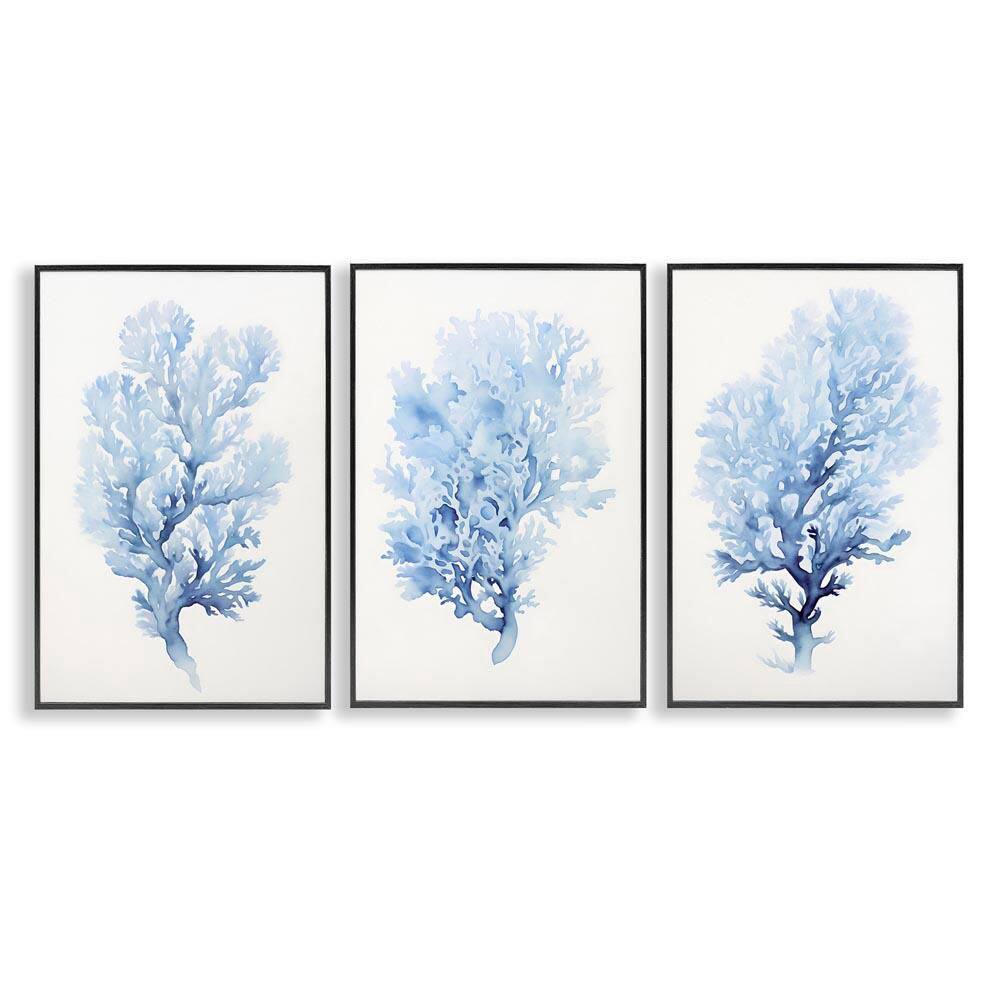 Indigo Coral Watercolors by Petal Prints Design 3 Pieces Black Framed Coastal Giclee Art Print 30 in. x 20 in. price history on PriceWatchPro