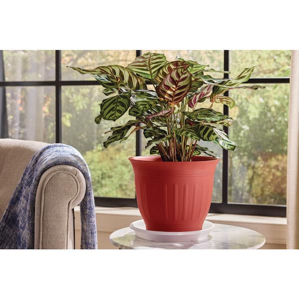 10 in. Dia Heavy-Duty Plastic Planter Saucer