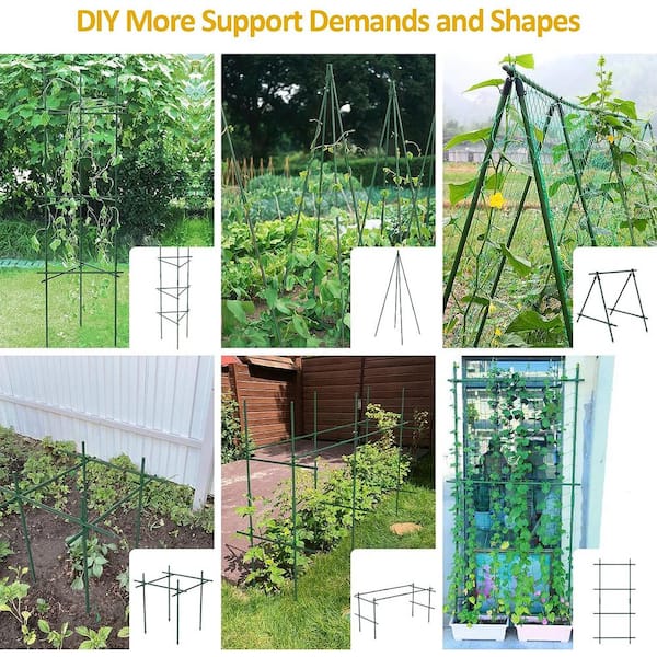 Greenstick Plantation Kit , DIY KIT (Size 10 cm) : : Garden &  Outdoors