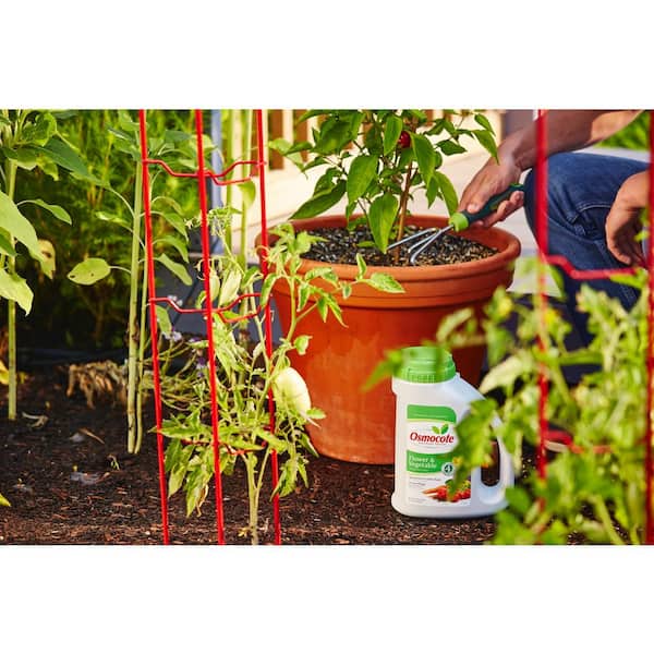 Osmocote Vegetable, Tomato, Herb & Garden Beds Fertiliser 700g