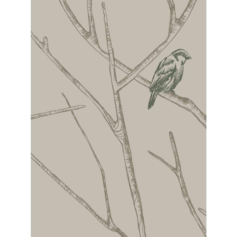Branch Birds Green Peel and Stick Vinyl Wallpaper Roll