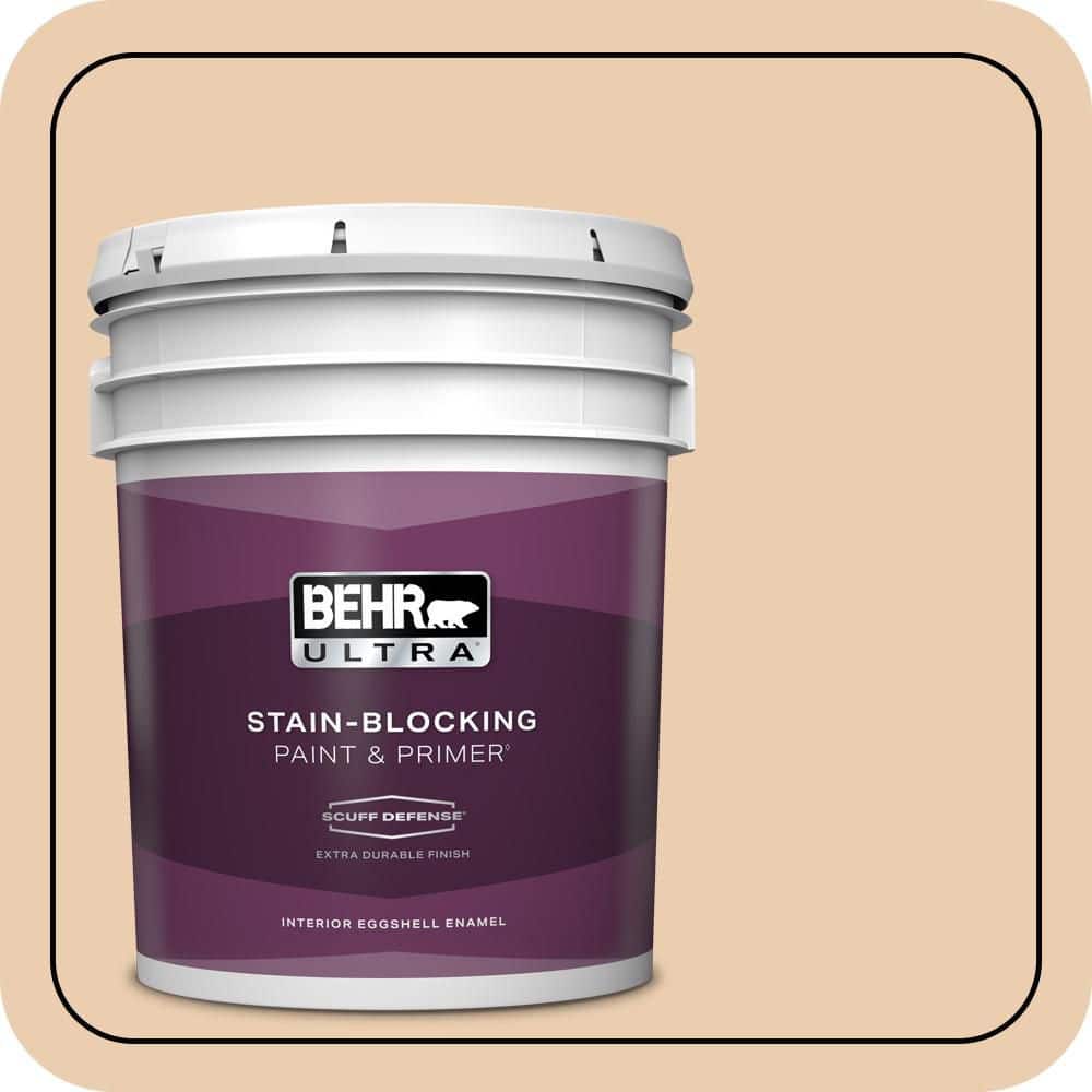 5 gal. #BXC-64 Shortbread Cookie Extra Durable Eggshell Enamel Interior Paint & Primer price history on PriceWatchPro