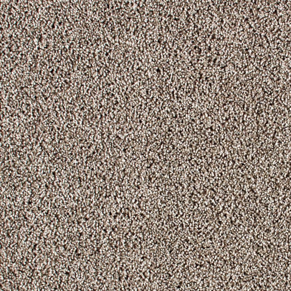 8 in. x 8 in. Texture Carpet Sample - Huntcliff II -Color Vienna Smoke price history on PriceWatchPro