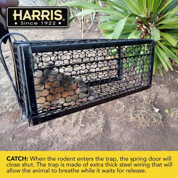 Harris Catch And Release Humane Squirrel And Rodent Cage Trap St Live The Home Depot