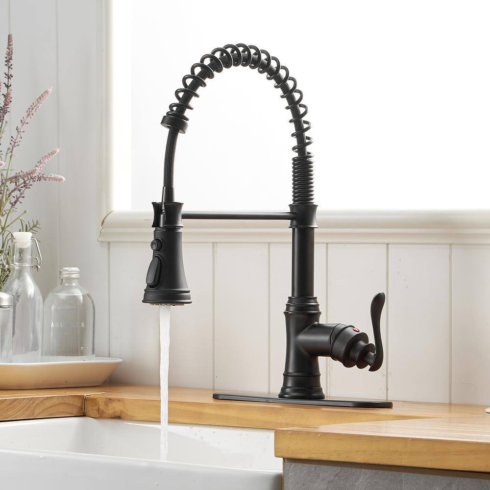 Matte Black Pull-Down Kitchen Faucet with Pull-out Spray