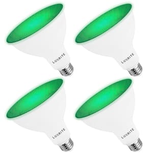 45-Watt Equivalent PAR38 LED Light Bulbs Flood Green Light Bulb 8-Watt Damp Rated UL Listed E26 Indoor Outdoor (4-Pack)
