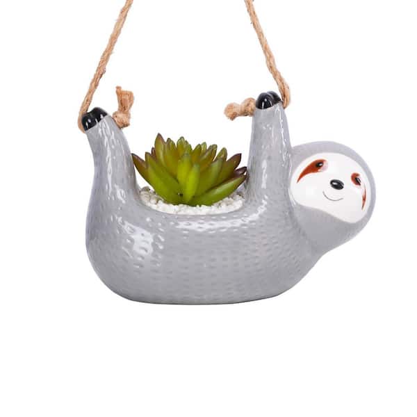 money tree meaning as a gift Cash Money Topiary Tree – Smiles For All Occasions