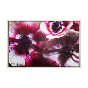 Anemone II' 38 in. W x 25 in. H Framed Photo by Veronica Olson Printed on Canvas