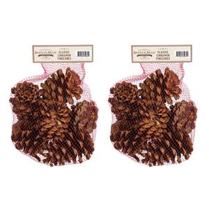 Pumpkin Spice Scented Pinecone Bag (2-Pack)