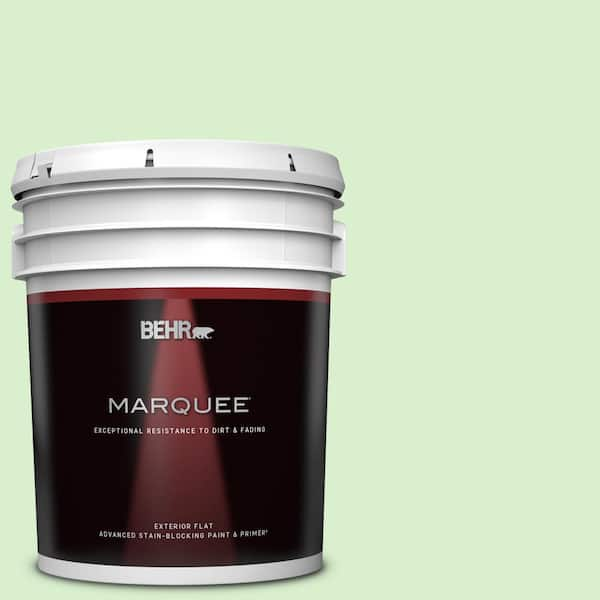 BEHR MARQUEE 5 gal. #430A-2 Seafoam Spray Flat Exterior Paint & Primer