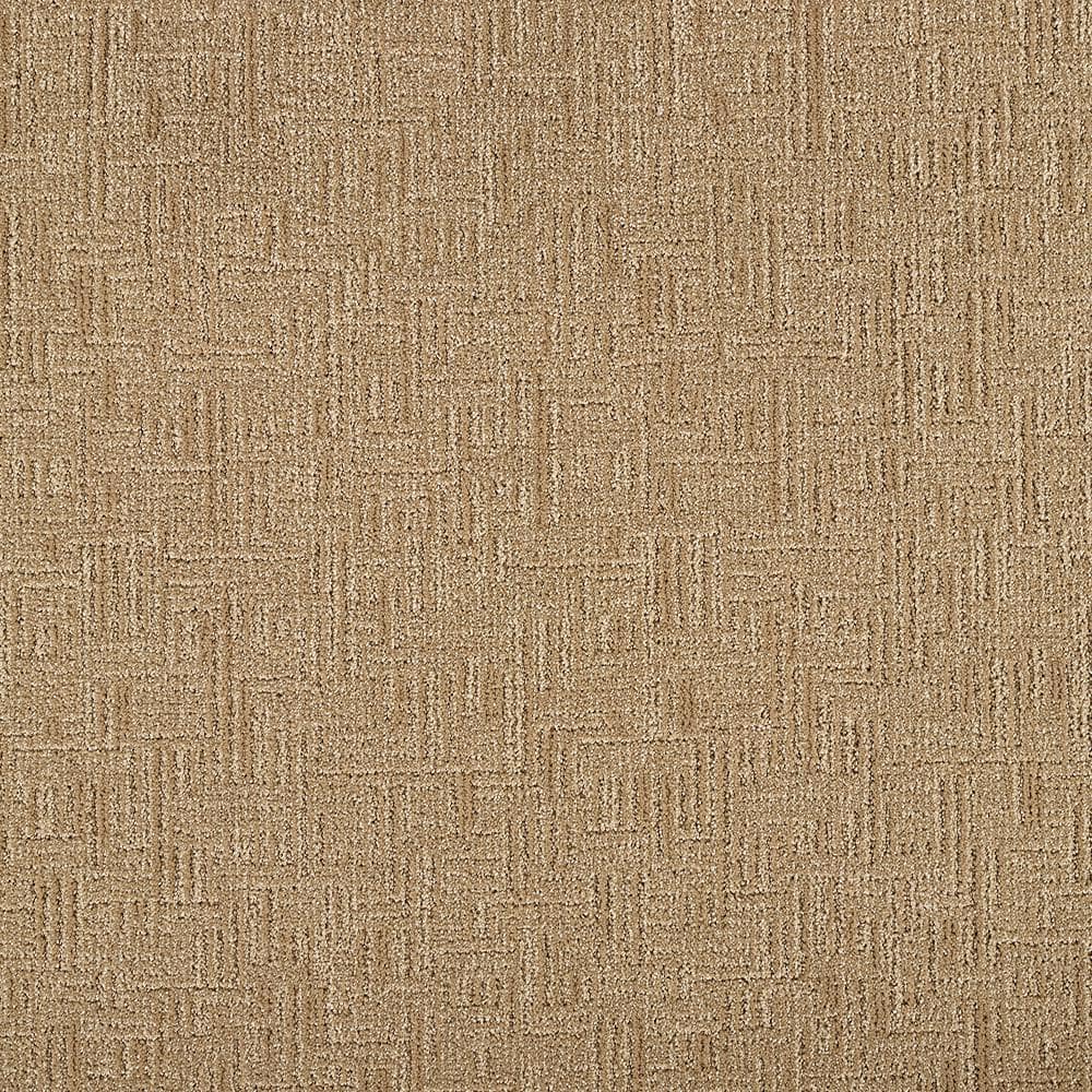 8 in. x 8 in. Pattern Carpet Sample - Crystal Cavern -Color Brushstroke price history on PriceWatchPro