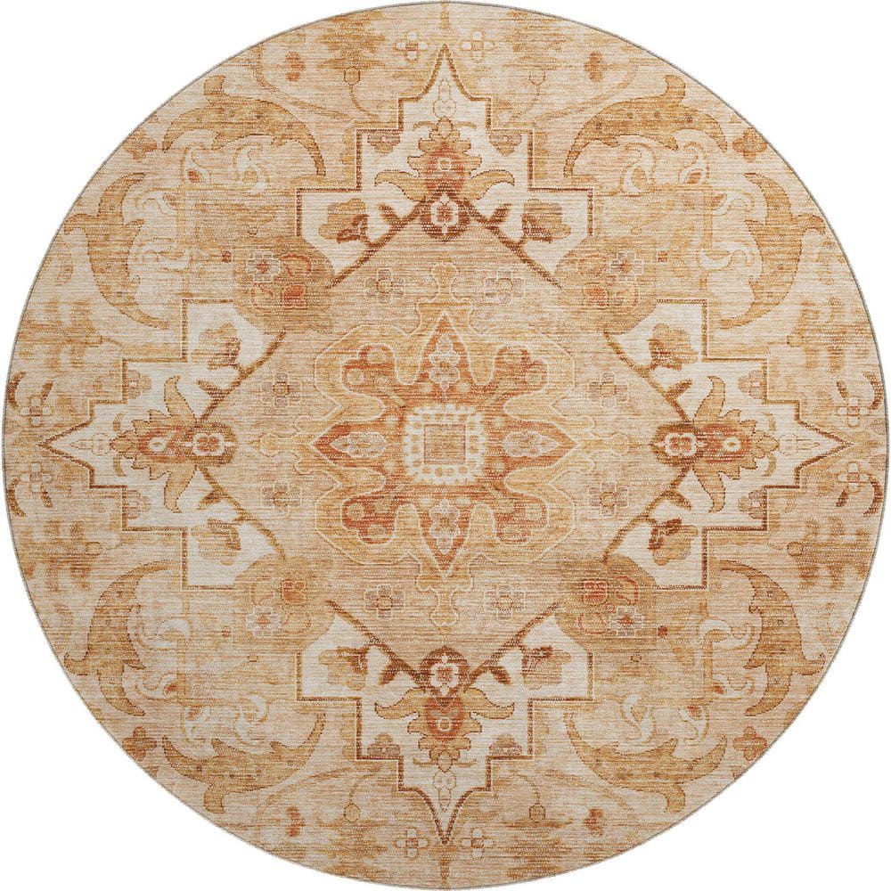 Mayfield Premium Machine Washable Abstract AMF2164 Copper 8 ft. x 8 ft. Round Rug price history on PriceWatchPro