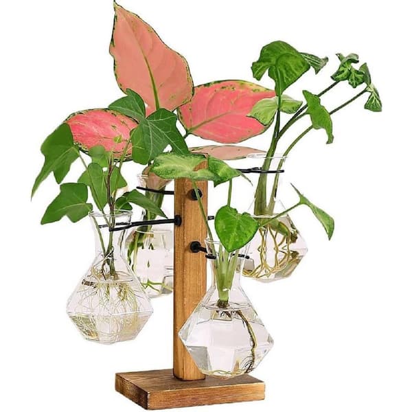 EVEAGE 4.3 in. Plant Propagation Stations Terrarium with Wooden Stand-Desktop Glass Bulb Plant Vase