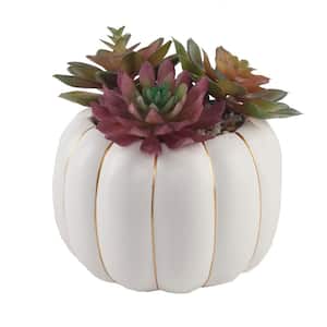 8 in. H Fall Harvest Artificial Plant Faux Succulents Garden in 6.26 in. Cream Ceramic Pumpkin Pot with Gold Line