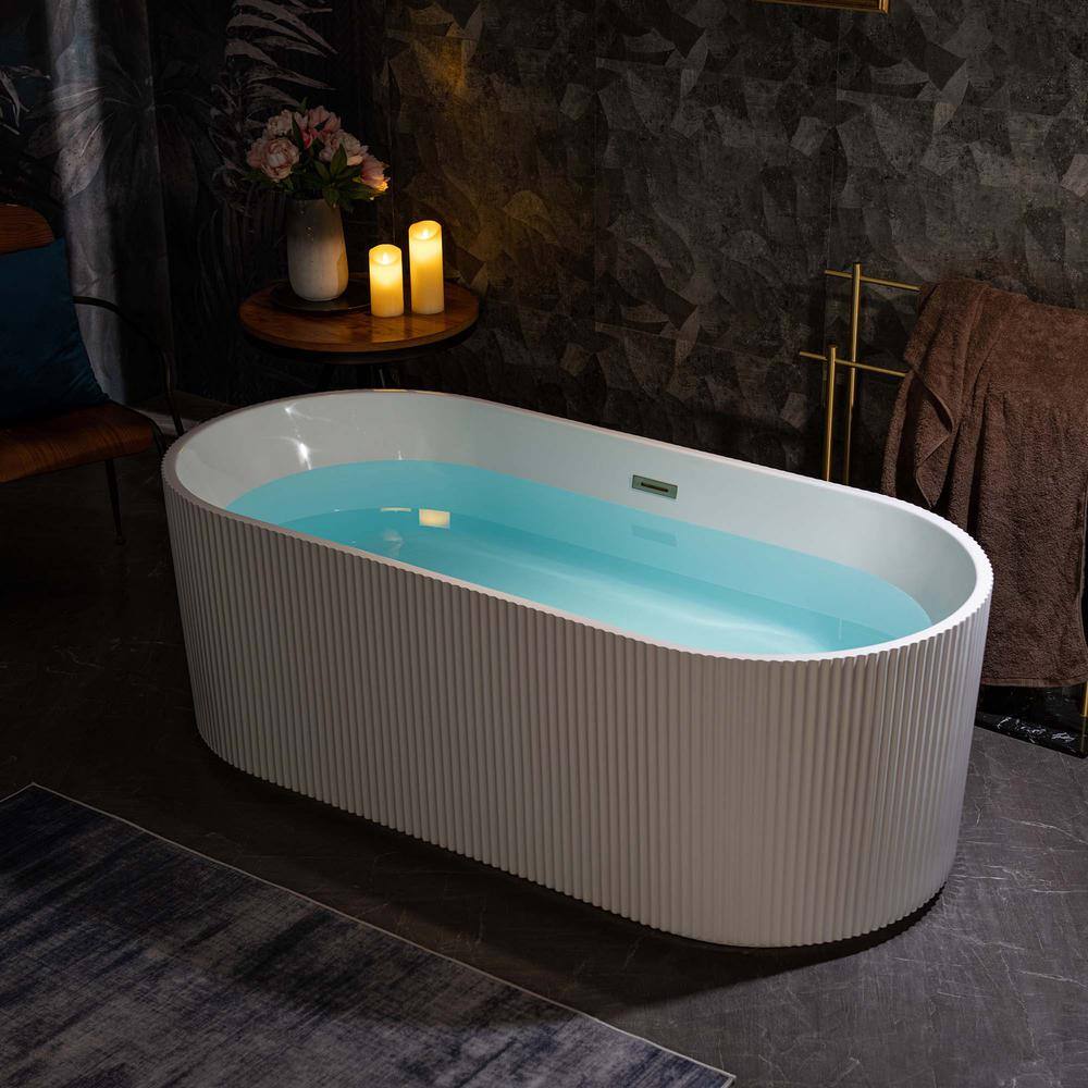 Pavanjit 67" White Acrylic Freestanding Soaking Bathtub
