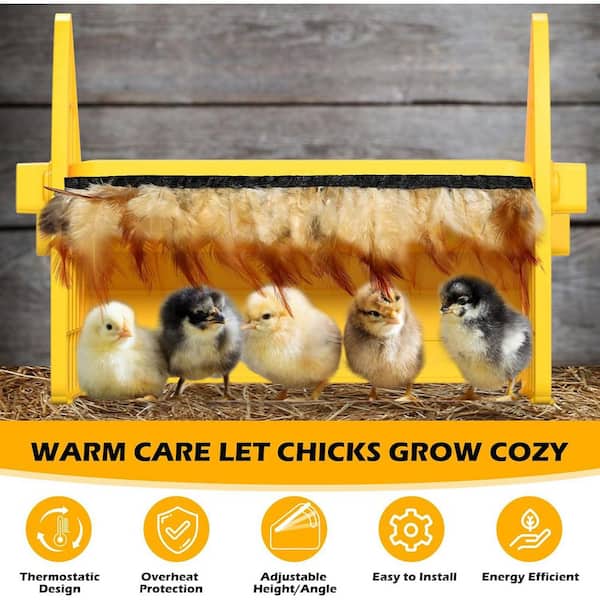 YTTAO Chicken Brooder Heating Plate For Chicks And Ducklings With Adjustable Height And Anglesafer Than Brooder Lamps Heater Keeps Up To 15 Chicks