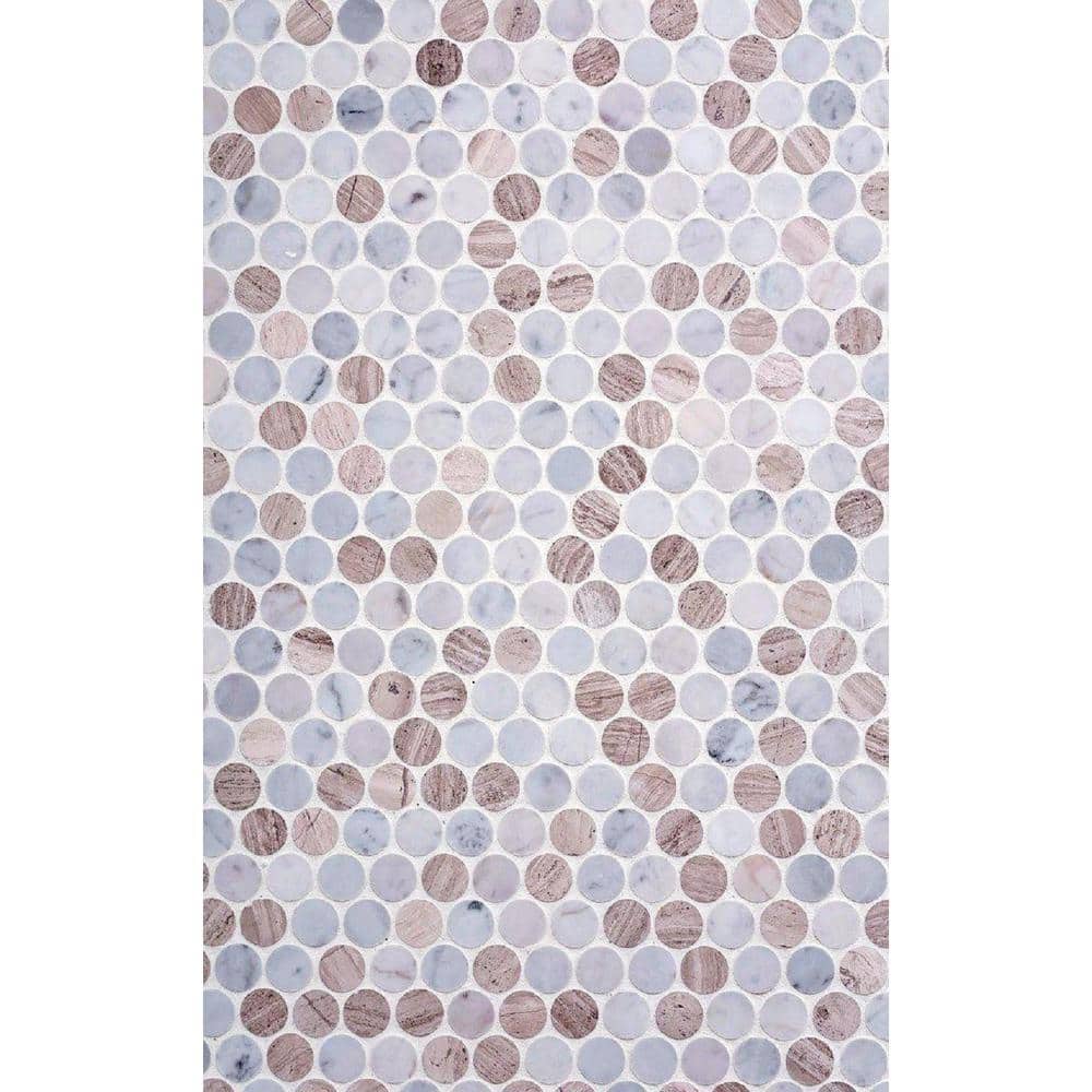 Gray and Beige Penny Polished Marble Mosaic Tile Pack