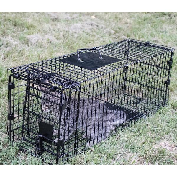 OxGord Live Animal Trap, 32 X 12 X 12 Catch & Release Cage – Pest  Control Everything