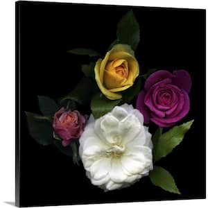 "Rose Festival" by Magda Indigo Canvas Wall Art