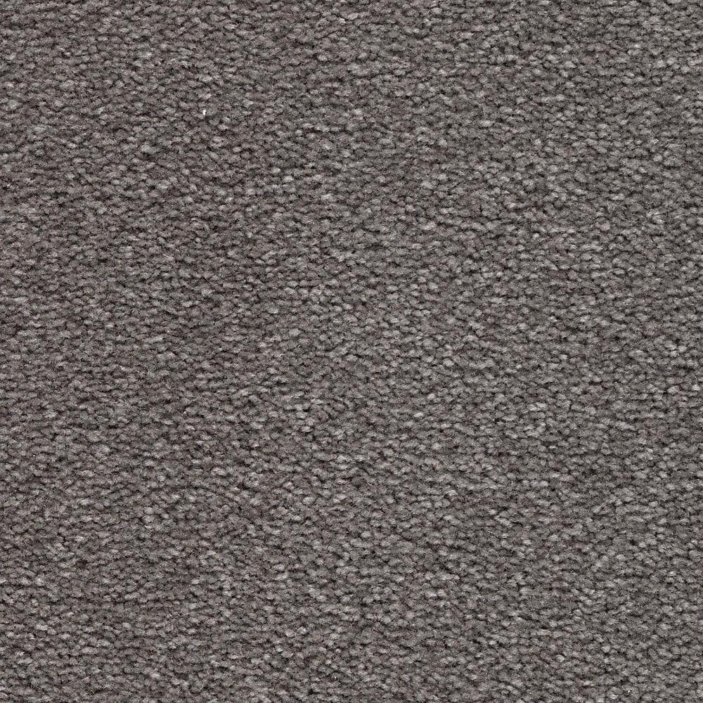 8 in. x 8 in. Texture Carpet Sample - Mason I -Color Shadow price history on PriceWatchPro