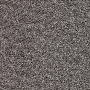 Mason II  - Shadow - Gray 54 oz. Triexta Texture Installed Carpet