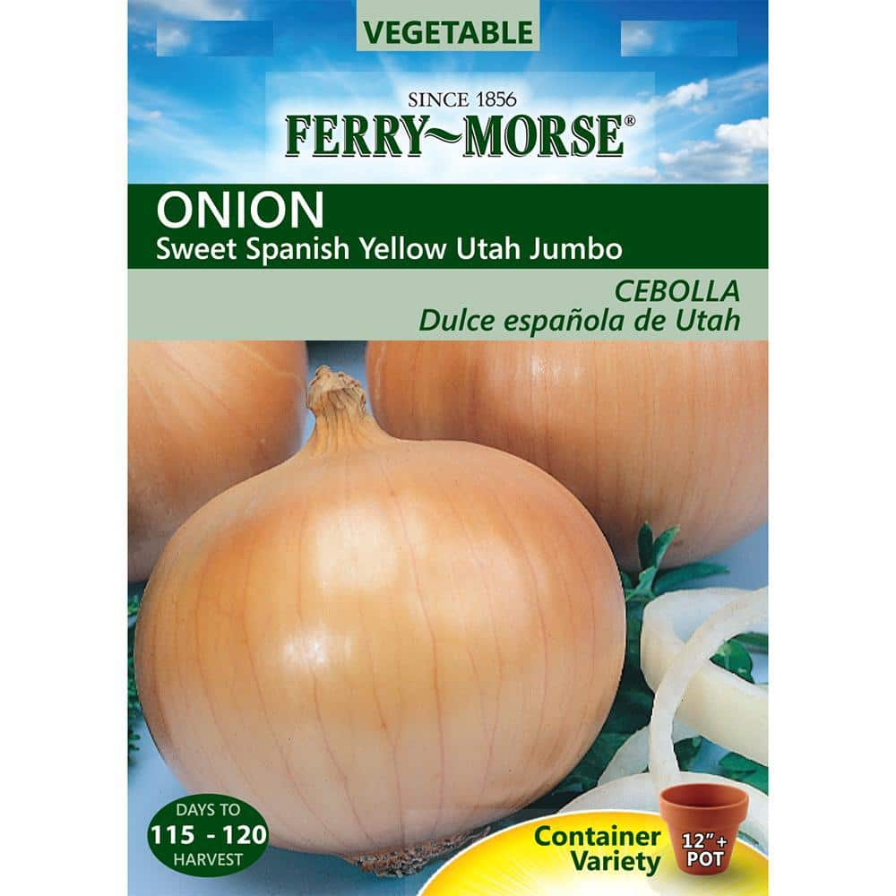 Ferry-Morse Onion Sweet Spanish Yellow Utah Jumbo Seed 7466 - The Home ...