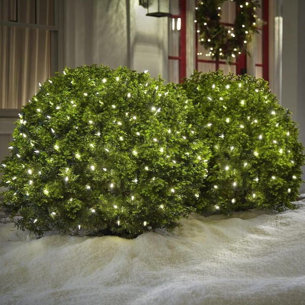 100 Count Warm White Steady Lit Super Bright Mini LED Lights