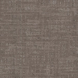 8 in. x 8 in. Pattern Carpet Sample - Tailored -Color Mink