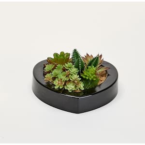 Mixed Succulents in 7 in. Artificial Heart Shaped Black Plastic Container