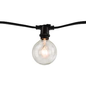 Outdoor/Indoor 14 ft. Plug-in G16 Incandescent Black String Light with Vintage Style Bulbs Included 10 Sockets (2-Pack)