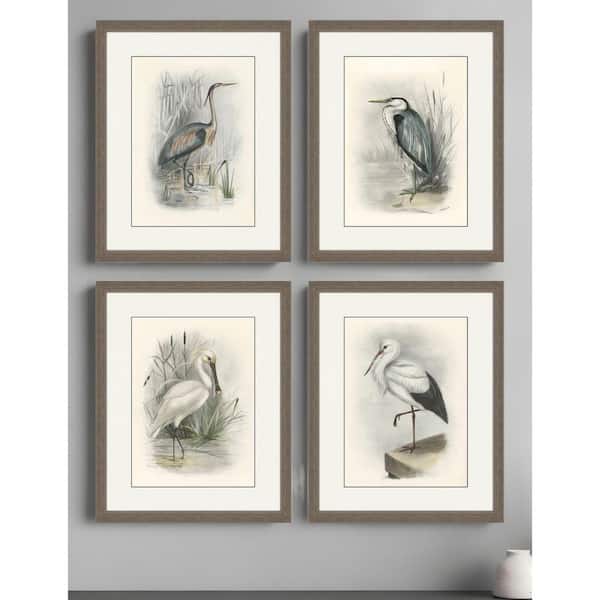 4 Piece Framed Graphic Print Animals 22.00 in. x 18.00 in.