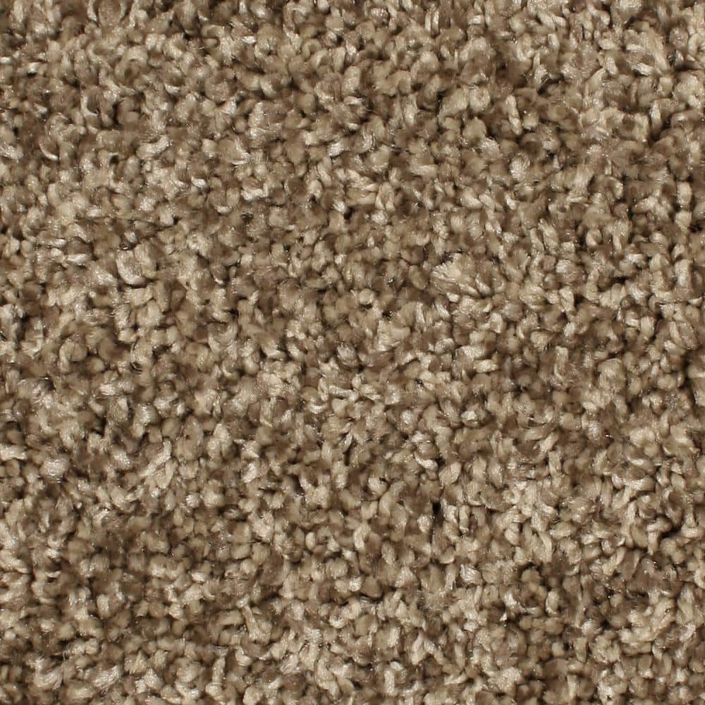 Home Decorators Collection 8 in. x 8 in. Texture Carpet Sample