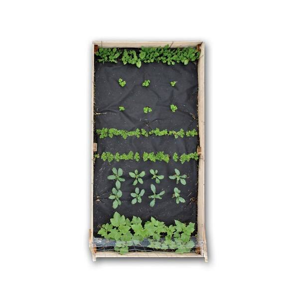 Seedsheet 48 in. x 96 in. Raised Bed Garden Smoothie Kit with Spinach, Parsley, Carrots, Kale and Cucumber