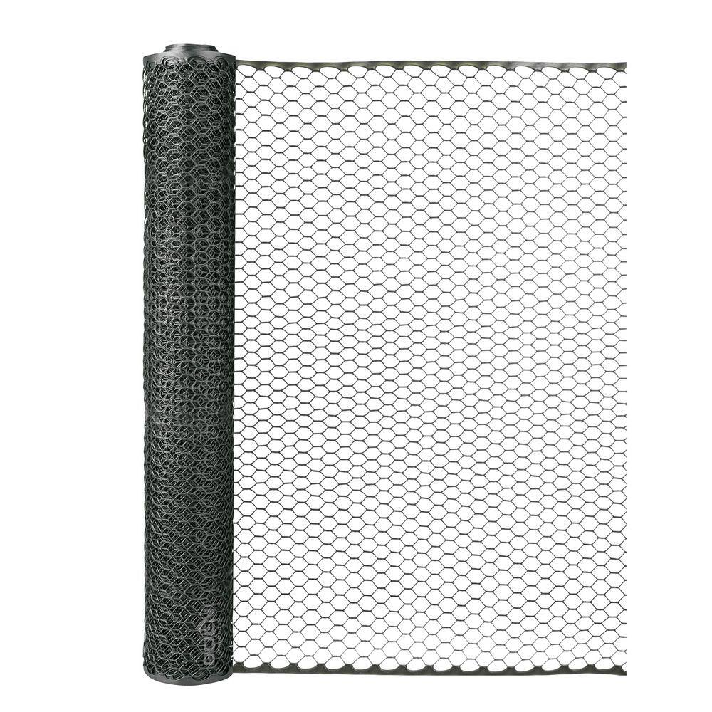 Black and Green Plastic Chicken Wire Netting, 3 ft x 25 ft