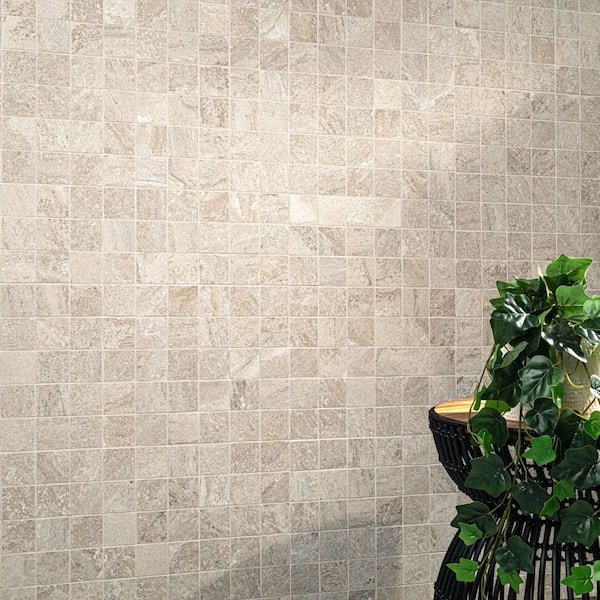 MSI Sevres Desert Amber Beige 12 in. x 12 in. Matte