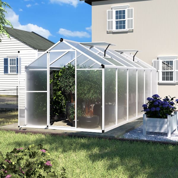 6 ft. W x 12 ft. D Polycarbonate Walk-in Greenhouse for Outdoors with Adjustable Roof Vent, White