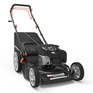 21 in. EX625 Briggs and Stratton Just Check and Add Self-Propelled RWD Walk-Behind Mower